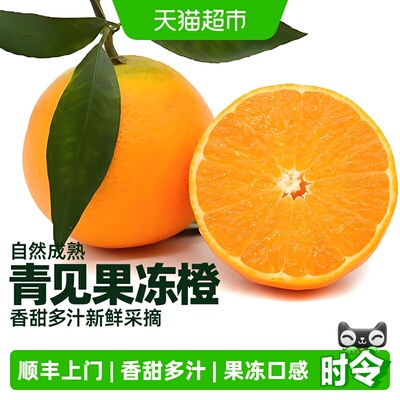 尙楚坊四川青见果冻橙汁水充盈