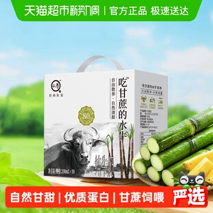 认养吃甘蔗 水牛奶4.0g优质蛋白儿童孕妇中老年人礼盒装