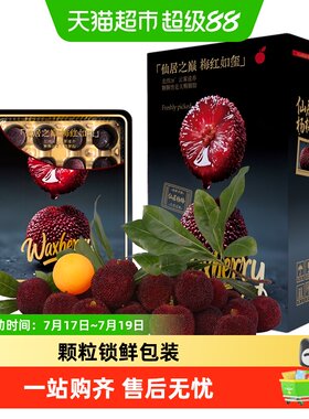 仙庆东魁杨梅当季鲜果