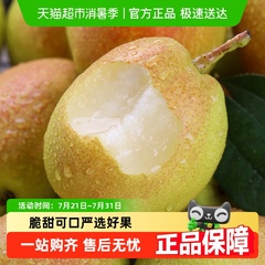 【顺丰发货】正宗新疆库尔勒香梨新鲜水果整箱包邮脆甜梨子一级果