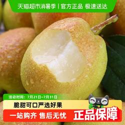 【顺丰发货】正宗新疆库尔勒香梨新鲜水果整箱包邮脆甜梨子一级果