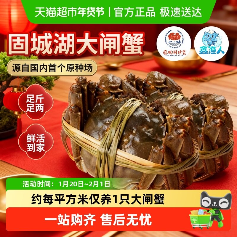 鑫渔人江苏南京固城湖大闸蟹精品蟹鲜活螃蟹特大全母公蟹送礼盒装,水产肉类/新鲜蔬果/熟食,大闸蟹,淘宝优惠券,粉丝福利购,淘宝优惠卷