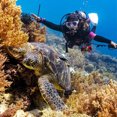 薄荷岛邦劳纳米拉坎