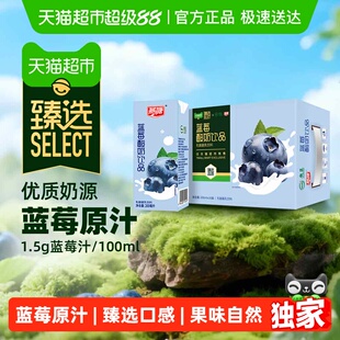 臻选蓝莓味酸牛奶饮品200ml*16盒早餐营养常温乳酸菌饮料