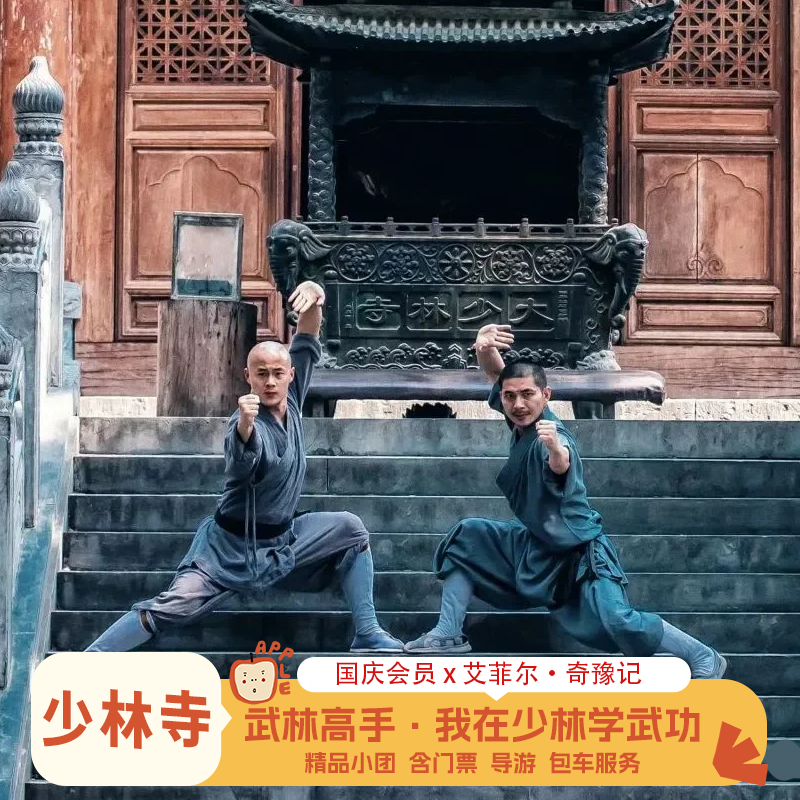 嵩山少林一日行|武术表演+功夫学习市区接送2-6人小团专车专导