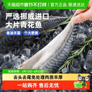 市舶士挪威进口北极物产青花鱼片去头尾冷冻海鲜水产日式鲭鱼烧烤