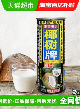 椰树椰汁正宗植物蛋白椰奶椰汁245ml*24罐/箱海南特产饮料