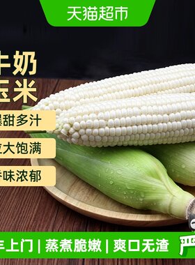 胡鲜森白糯牛奶玉米爆汁奶香