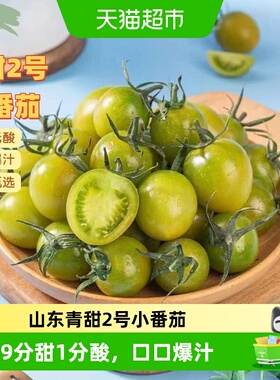 栗贝诺山东青甜2号小番茄即食脆甜爆汁果肉细腻无渣9分甜1分酸