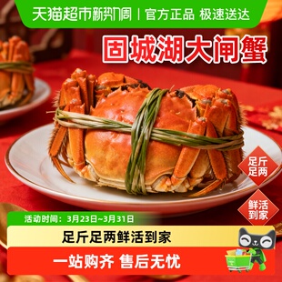 渔传播固城湖大闸蟹现货鲜活足重3.0全母螃蟹特大4.0公河蟹礼盒装