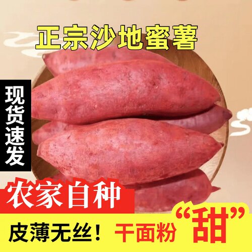 沙地黄心蜜薯板栗红薯新鲜粉糯香甜板栗薯5斤农家新鮮地瓜烟薯
