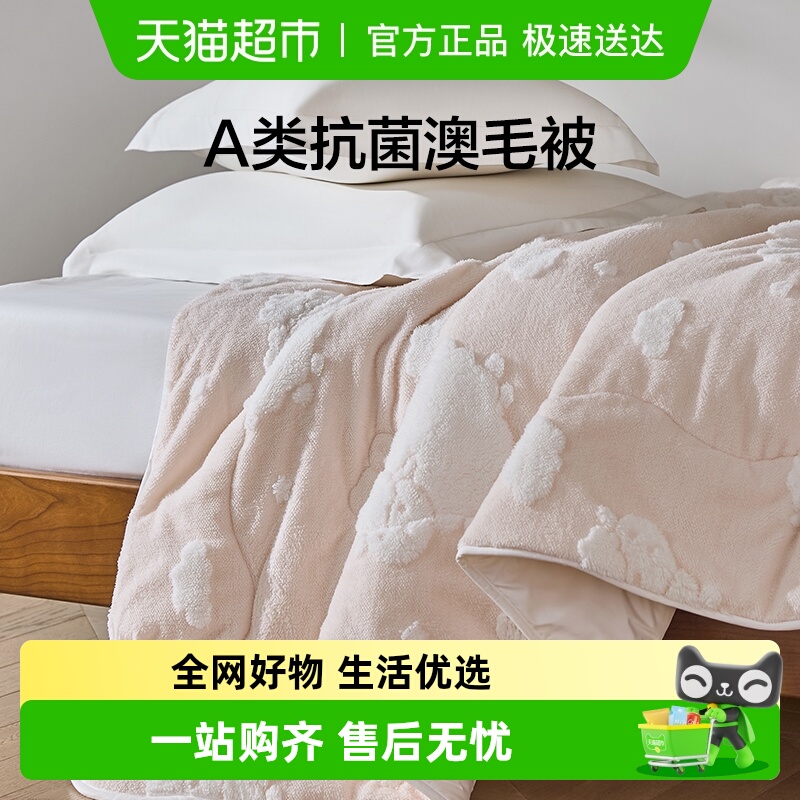 LOVO乐蜗防螨羊毛被子