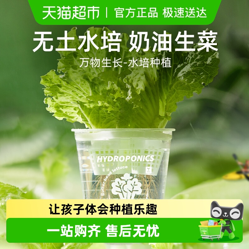 弥鹿mideer阳光种植房水培