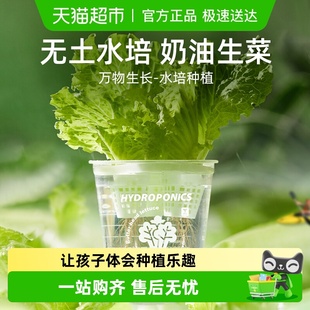 mideer弥鹿水培阳光种植房儿童玩具科学小实验植物生长观察盒
