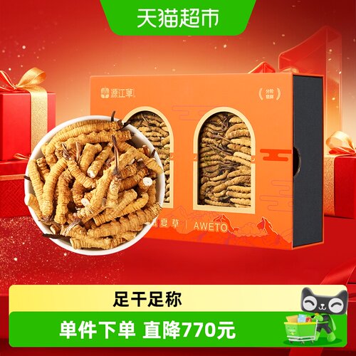 源江草冬虫夏草大号断草50克装