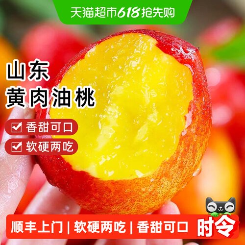 樱洛华山东红皮黄肉油桃新鲜现摘