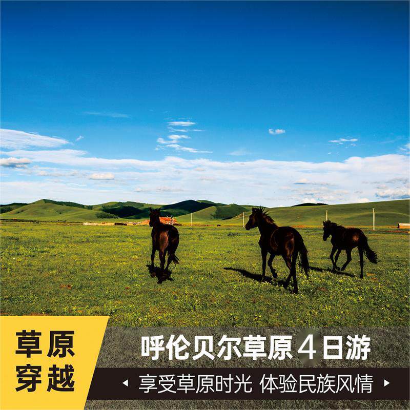 呼伦贝尔大草原敖鲁古雅亚洲湿地骑马喂驯鹿射箭住宿蒙古包4天3晚