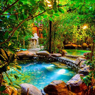 深圳-高铁往返惠州3日2晚跟团游 南昆山国家森林公园+云顶温泉