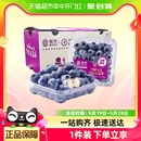 礼盒装 新鲜水果顺丰 包邮 joyvio 云南蓝莓4盒 佳沃 6盒单果14mm