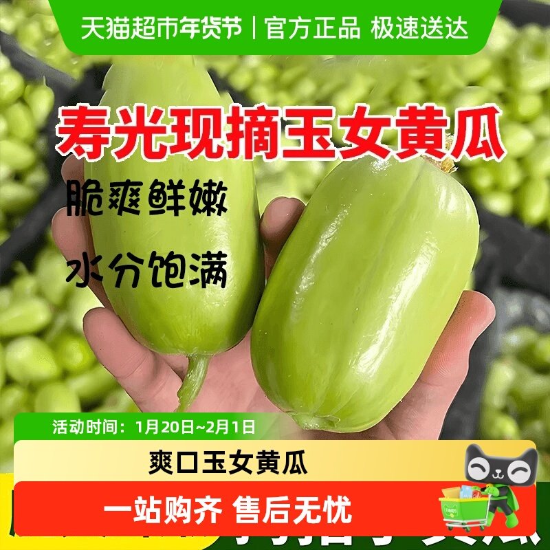 山东潍坊寿光玉女黄瓜水果黄瓜新鲜生吃小黄瓜拇指黄瓜产地直发,水产肉类/新鲜蔬果/熟食,黄瓜,淘宝优惠券,粉丝福利购,淘宝优惠卷