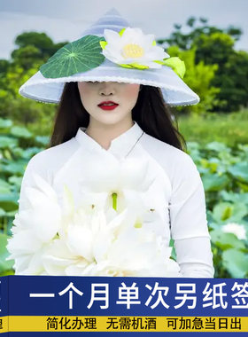 越南签证电子另纸签全国办