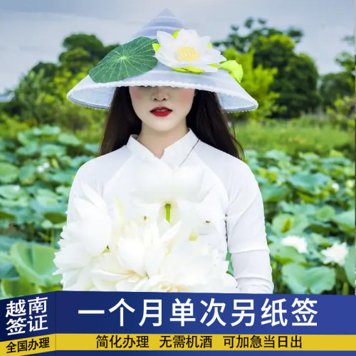 越南签证电子另纸签全国办
