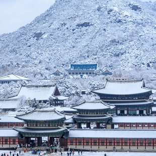 韩国旅游首尔釜山精致小团5天4晚海东龙宫寺景福宫小火车跟团游