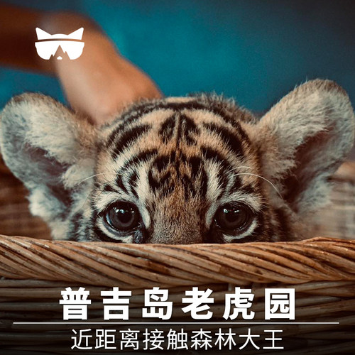 [普吉老虎公园-单独门票（不进虎笼）]【可订今日 出票2小时后可用】普吉岛老虎园Tiger park