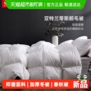 Snowman 羽绒被子 斯诺曼加厚抑菌冬被鹅绒羽毛被纯棉面料被芯冬季