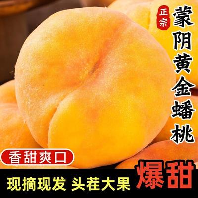 蒙阴黄金毛蟠桃新鲜现摘香甜多汁应季扁桃毛桃毛蟠桃香甜多汁