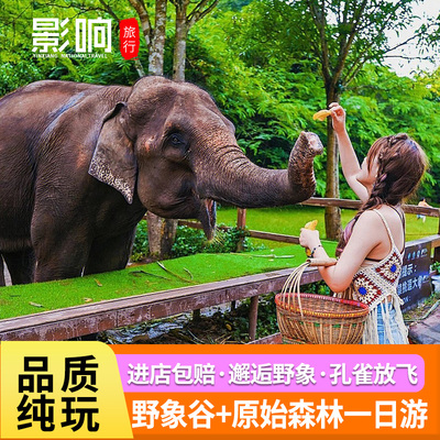 西双版纳一日游