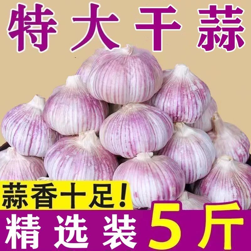 5斤大蒜山东金乡农家新紫皮大蒜新干蒜大蒜头精选干蒜批发