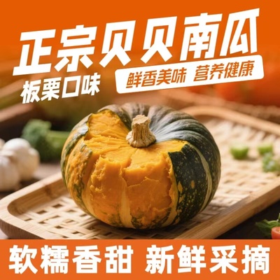 贝贝南瓜板栗南瓜小南瓜新鲜特产批发粉糯板栗味新鲜应季便宜清仓