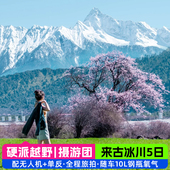 4人越野小团西藏拉萨出发5天4晚来古冰川南迦巴瓦林芝桃花跟团游