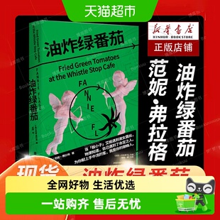 油炸绿番茄 影视原著 凯西·贝茨我的天才女友现当代外国文学小说