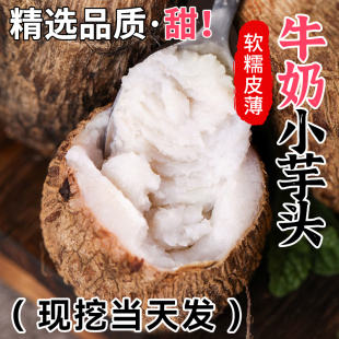 云南牛奶芋头小香芋新鲜毛芋头现挖农家自种奶油芋艿软糯整箱 包邮