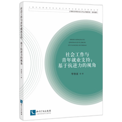 正版社会工作与青年业支持：基于抗逆力的视角华智亚书店励志与成功书籍 畅想畅销书