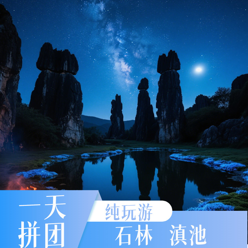 昆明石林一日游