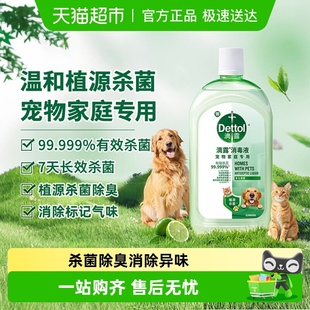 滴露宠物消毒液 Dettol 猫砂盆净味杀菌除臭去尿味 宠物家庭