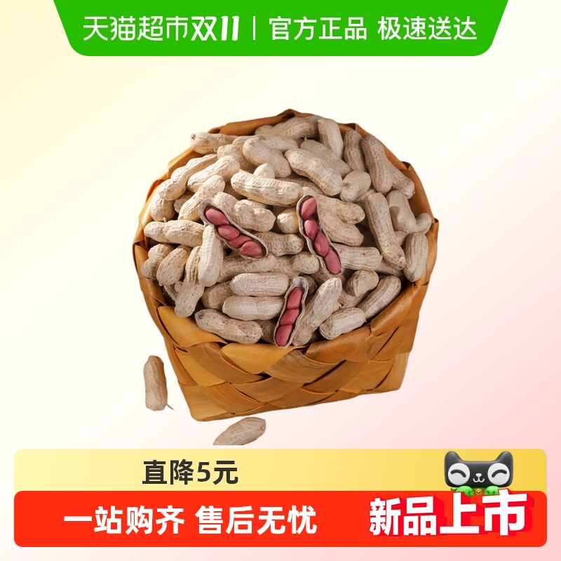 吉林红皮花生角花生