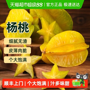 顺丰上门正宗福建漳州下河甜杨桃新鲜应季水果酸甜爆汁现摘整箱