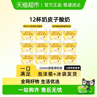 伊利宫酪呼伦贝尔奶皮子酸奶发酵醇香厚奶皮入口即化