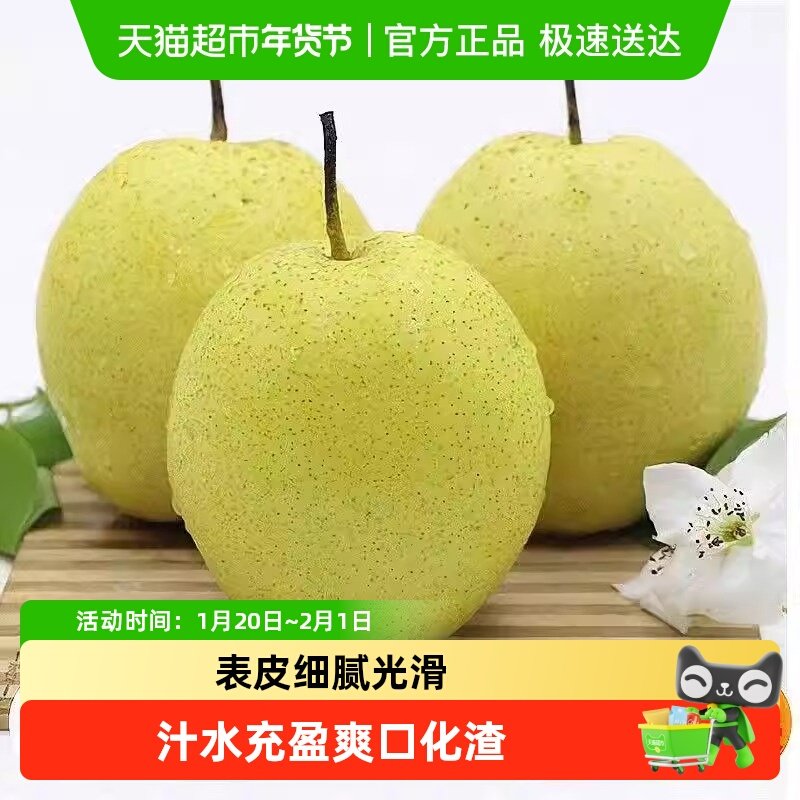 果园密码河北香梨当季新鲜水果现摘香甜可口精品小香梨脆甜爆汁,水产肉类/新鲜蔬果/熟食,梨,淘宝优惠券,粉丝福利购,淘宝优惠卷