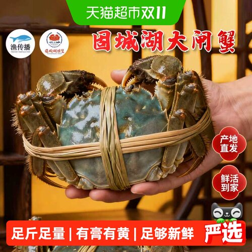 渔传播活蟹足重满黄大闸蟹
