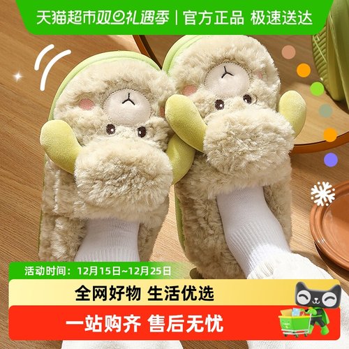 FZT踩屎感女士秋冬季2024棉拖鞋