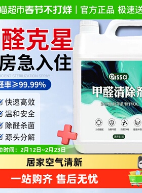 甲醛清除剂除甲醛神器新房急入住室内家用除醛除异味