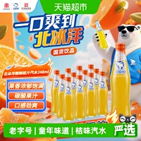 北冰洋精制桔汁汽水248mlx12玻璃瓶果汁汽水可乐碳酸饮料夏日饮品