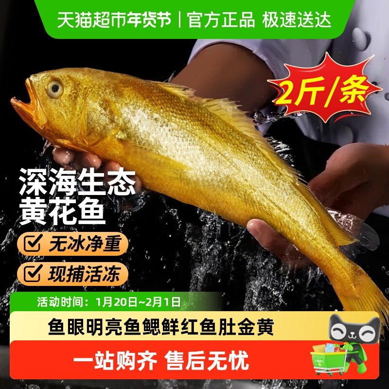 海仙部落青岛黄花鱼新鲜冷冻大黄鱼深海黄鱼鲞,水产肉类/新鲜蔬果/熟食,黄鱼,淘宝优惠券,粉丝福利购,淘宝优惠卷