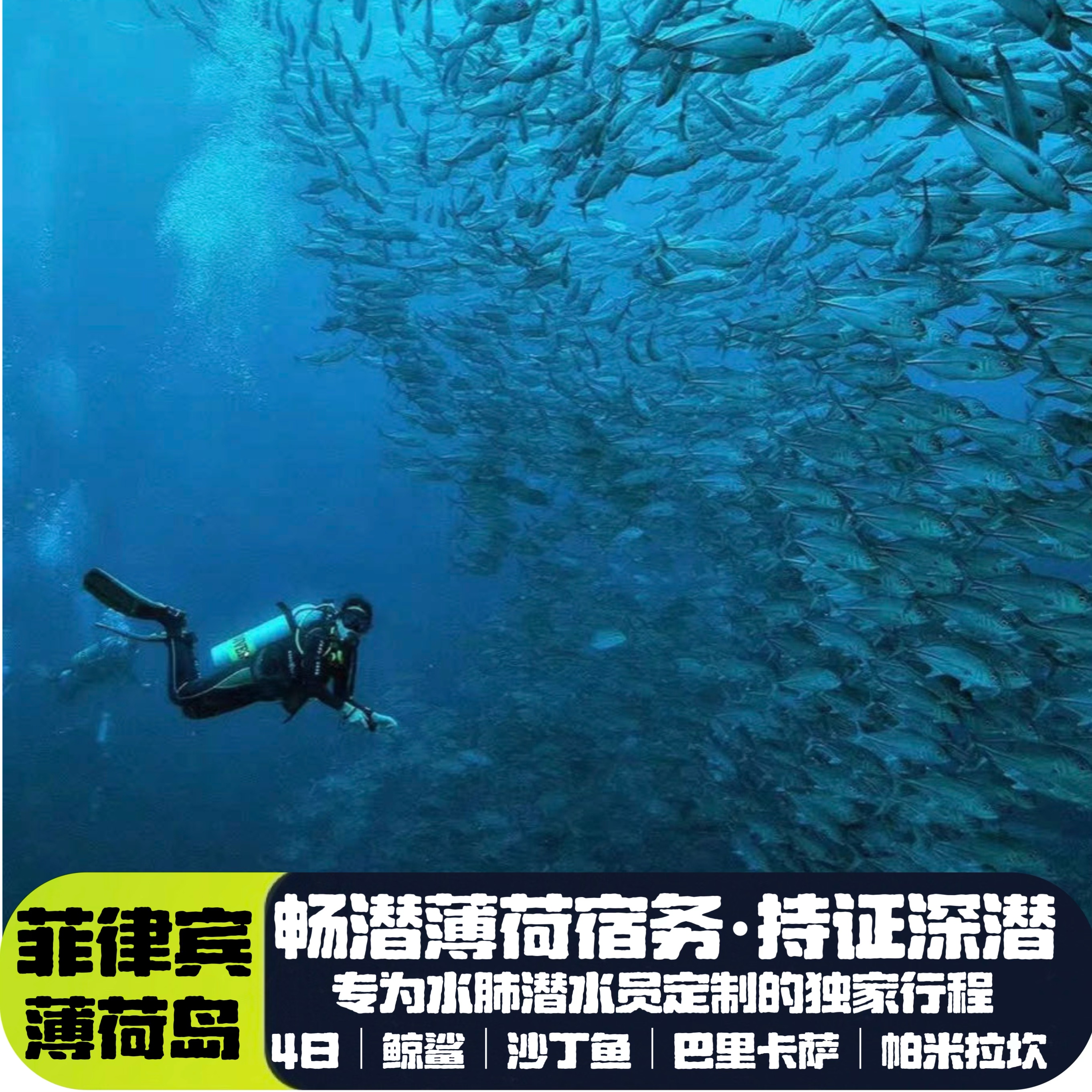 【专属行程】专为水肺深潜爱好者制定的行程 【精彩潜点】打卡所有的网红必潜潜点 【出行无忧】自营潜店|24小时中文客服