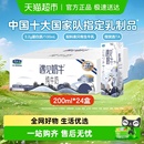 君乐宝遇见奶牛纯牛奶早餐营养纯牛奶家庭量贩装